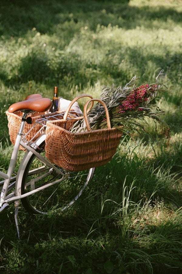 Bike with picnic baskets and picnic blanket